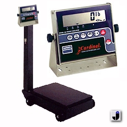 Detecto  Portable-Scales