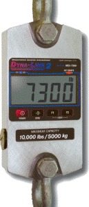 Rice Lake MSI-4260 Port-A-Weigh Crane Scale, Digital Scales