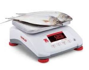 Ohaus Valor 4000 Legal for Trade Food Scale