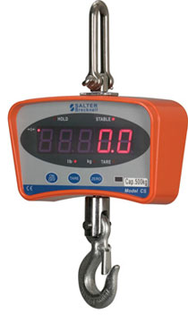 Salter CS Crane Scale